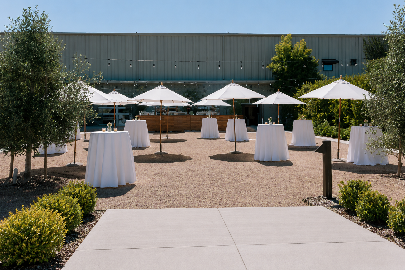 Balletto Vineyards cocktail reception