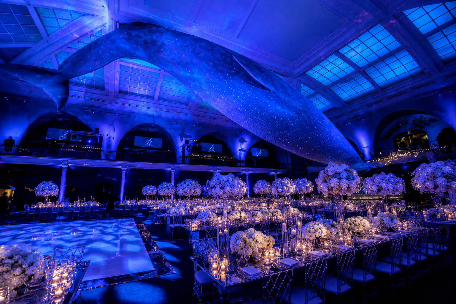 American Museum of Natural History whale reception
