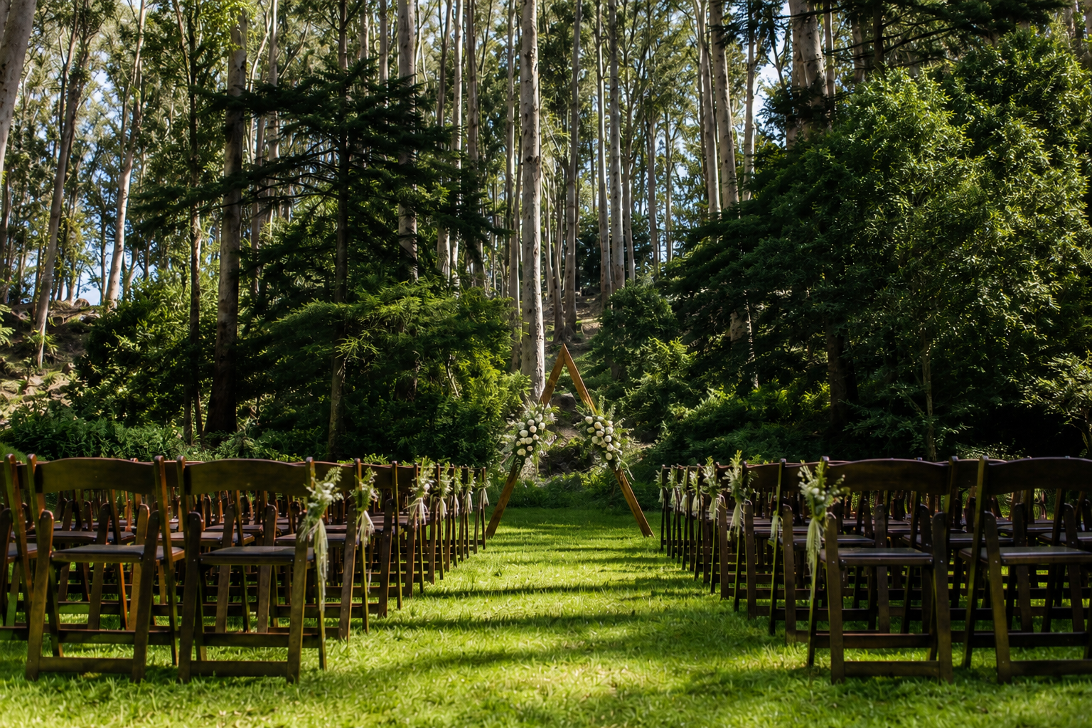 Stern Grove Trocadero Clubhouse forest ceremony